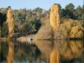 Apple Tree Cottage - Hepburn Springs - Daylesford and Macedon Ranges - Australia Hotels