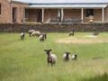 At Woodridge Farm Accommodation - Launceston - Australia Hotels