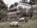 House on the Hill Bed and Breakfast - Huon Valley - Australia Hotels