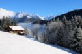 Chalet Ski Massif - Samoens - France Hotels