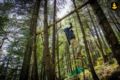 Adventure treehouse for the adrenaline lovers - Kotkhai - India Hotels