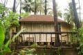 Rustic cottage for 3, ideal for couples/4881 - Diveagar - India Hotels