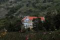 Wild Walkers by Vista Rooms - Ooty - India Hotels