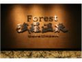 Forest Gora Onsen - Hakone 箱根 - Japan 日本のホテル