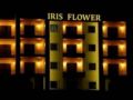 Iris Flower Hotel - Jezzine - Lebanon Hotels