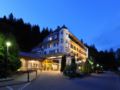 Panorama Hotel Solsana - Saanen ザーネン - Switzerland スイスのホテル