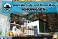 Animalia cafe and homestay - Khon Kaen コンケーン - Thailand タイのホテル